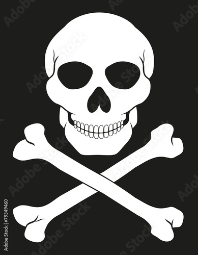 pirate skull and crossbones vector illustration