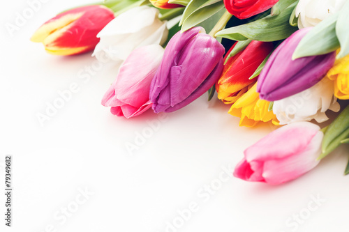 Fototapeta Naklejka Na Ścianę i Meble -  nice tulips