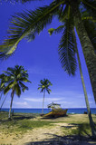 Shipwreck under coconut tree heading to the sea
