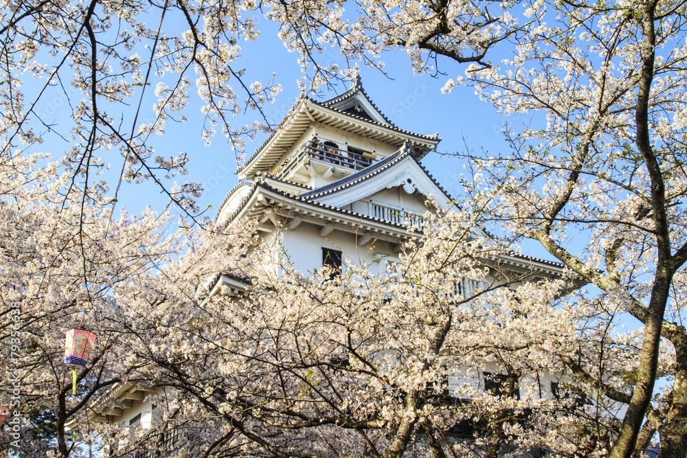 Nagahama, Japan Museum of History