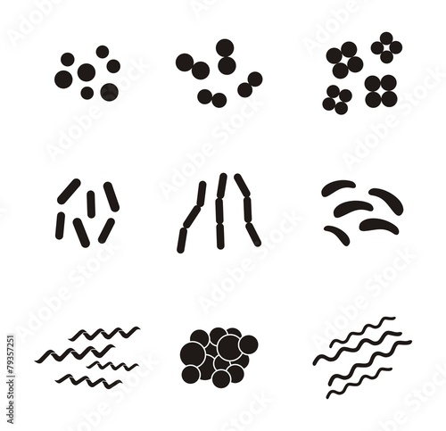 shapes of bacteria - pictogram photo