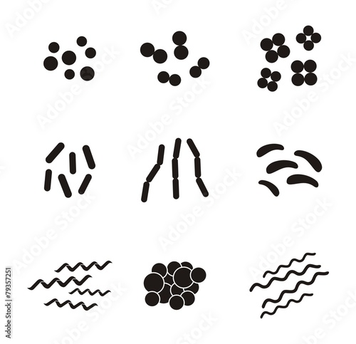 shapes of bacteria - pictogram
