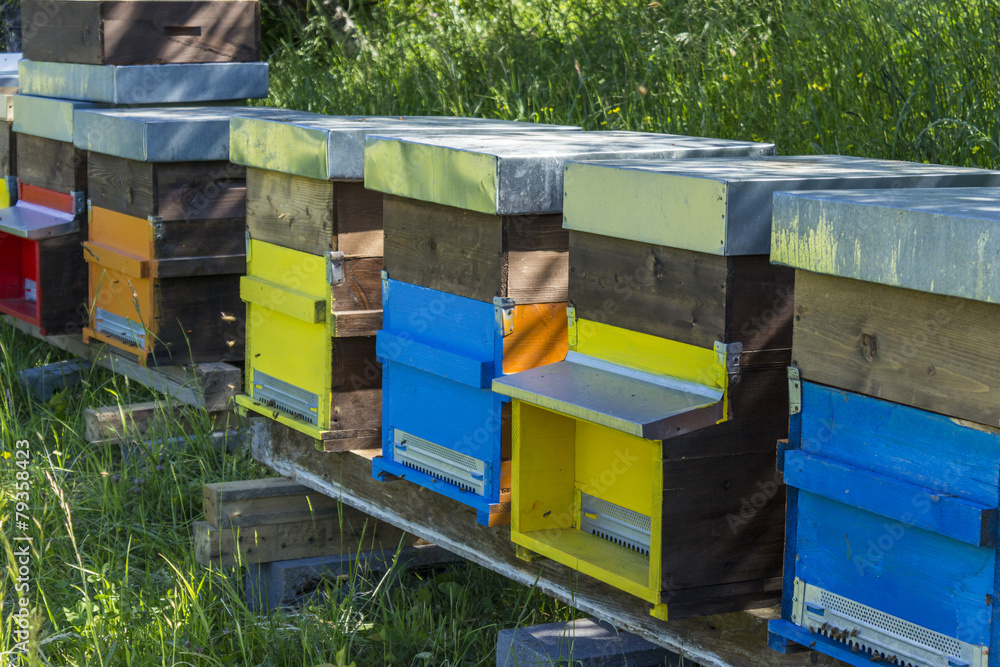 Beehives Beehives