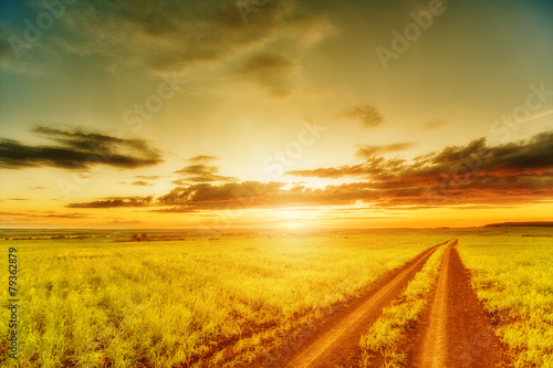 Meadow, rut, evening sky and sunset © Megaloman1ac