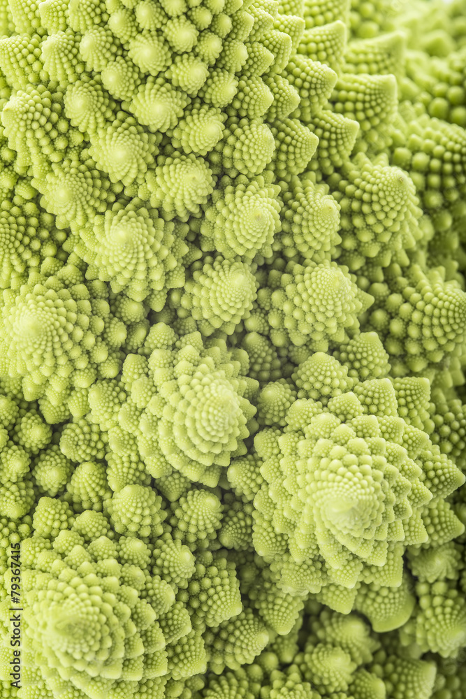 Textura del romanesco broccoli fresco Textura del romanesco broccoli fresco