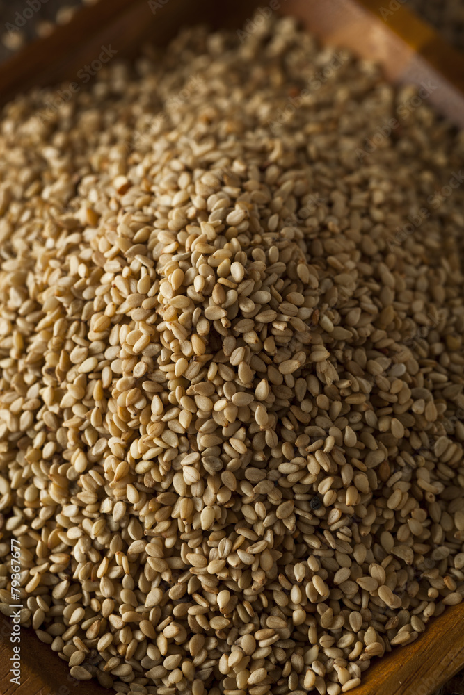 Raw Organic Sesame Seeds Raw Organic Sesame Seeds