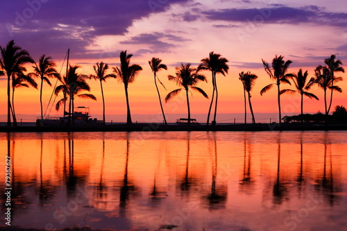 Hawaii beach sunset - tropical paradise landscape © Maridav