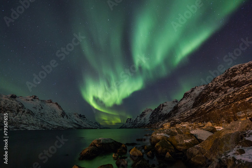 Incredible Aurora Borealis over night sky in Arctic © jamenpercy