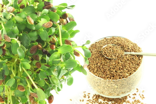 flax seed sprouted and whole closeup in pure white backgroundand photo