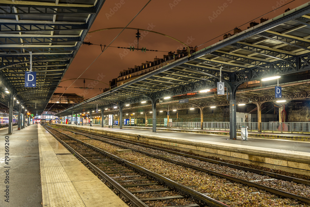 Fototapeta premium Platforms of the Paris-Est station at night - France
