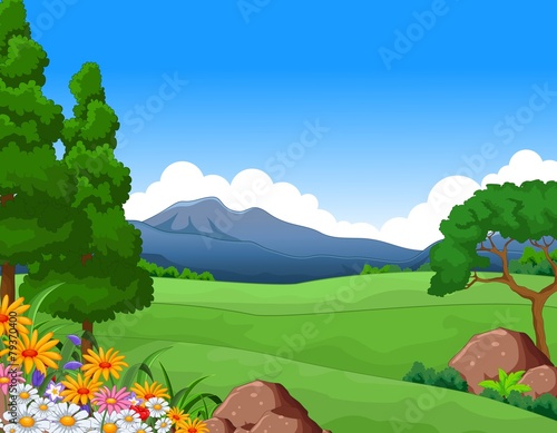 beautiful summer landscape