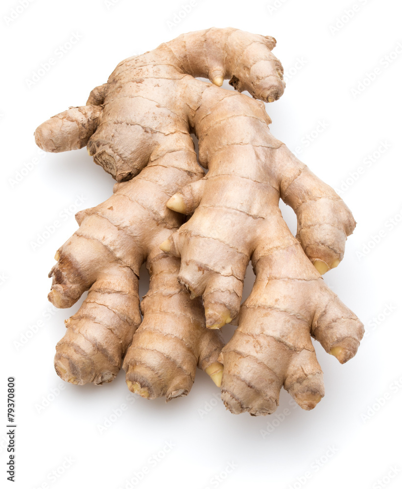 Fresh ginger root or rhizome isolated on white background cutout