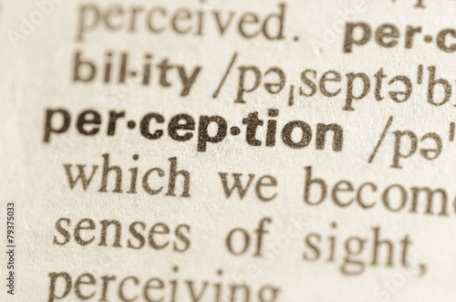 Dictionary definition of word perception