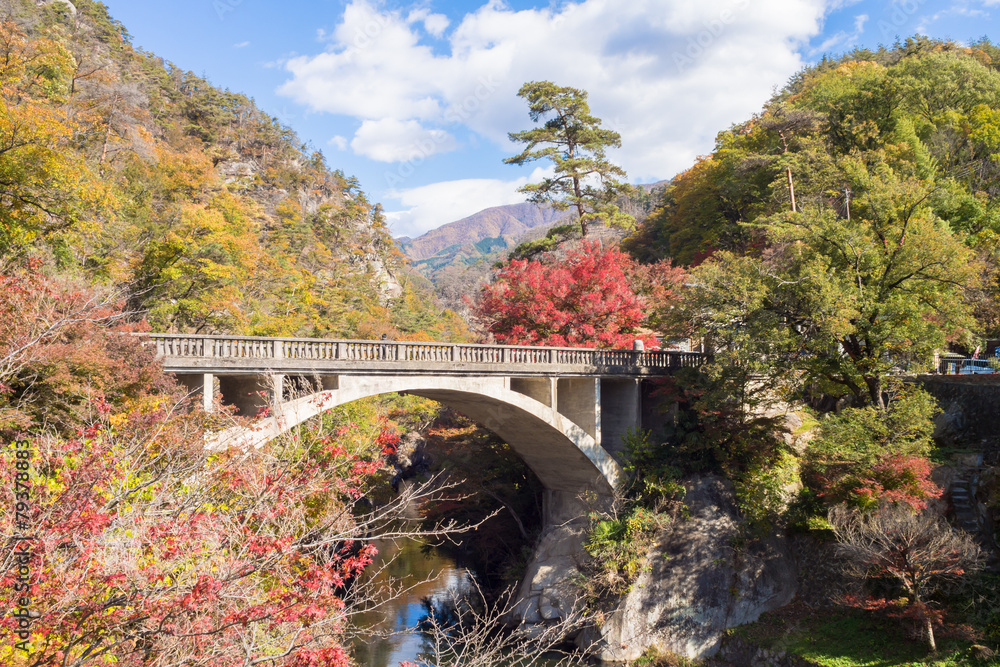 Nagatoro bridge