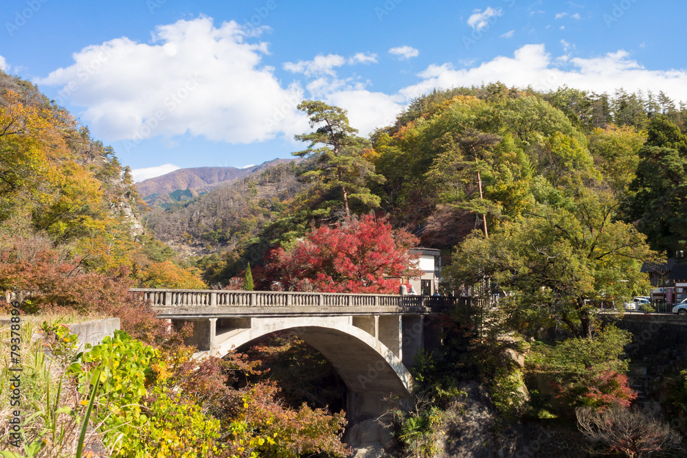 Nagatoro bridge