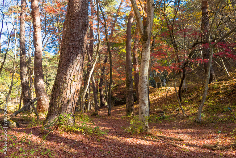 Autumn Mitake Shosenkyo