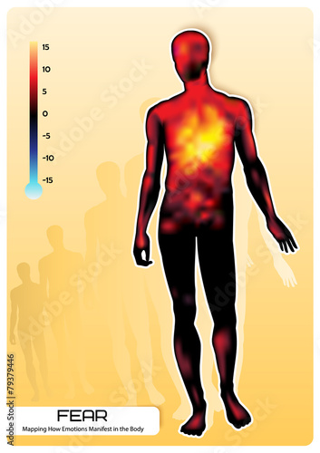 FEAR. Mapping How Emotions Manifest in the Body.