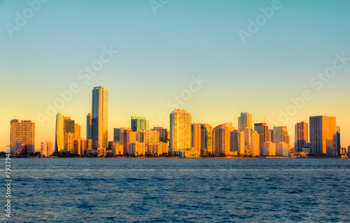 Miami Skyline © The Pink Panda