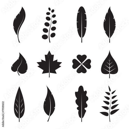 Vector leaves icon set on white background