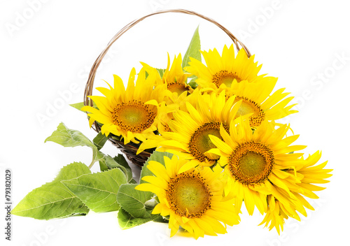 Fototapeta Naklejka Na Ścianę i Meble -  bouquet of sunflowers in a basket