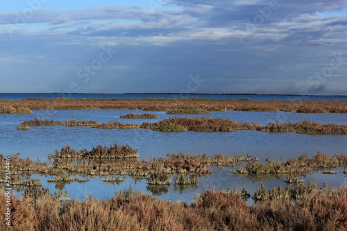 Ballade en Camargue