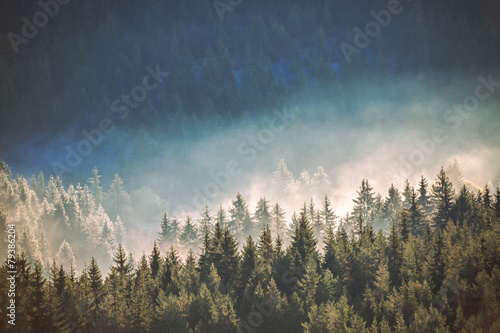 View of misty fog mountains in autumn