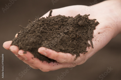 Soil in the hand of a gardener