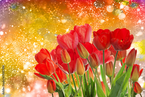 Beautiful garden fresh red tulips on abstract  background