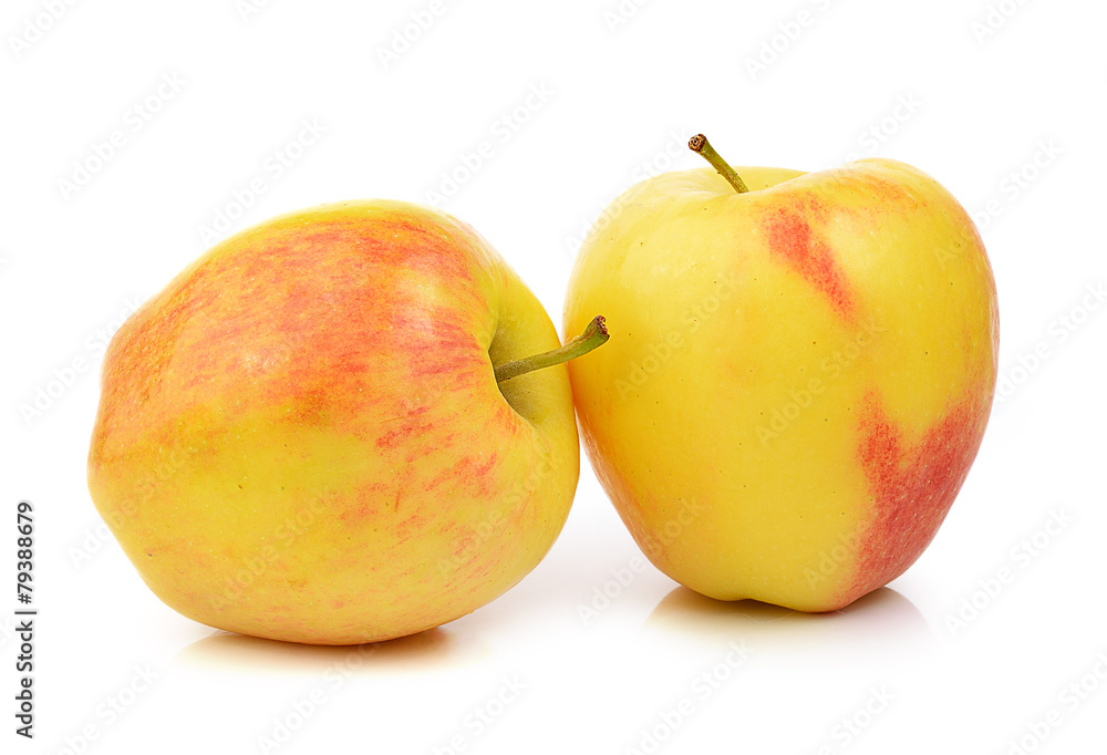 yellow apple on white background yellow apple on white background