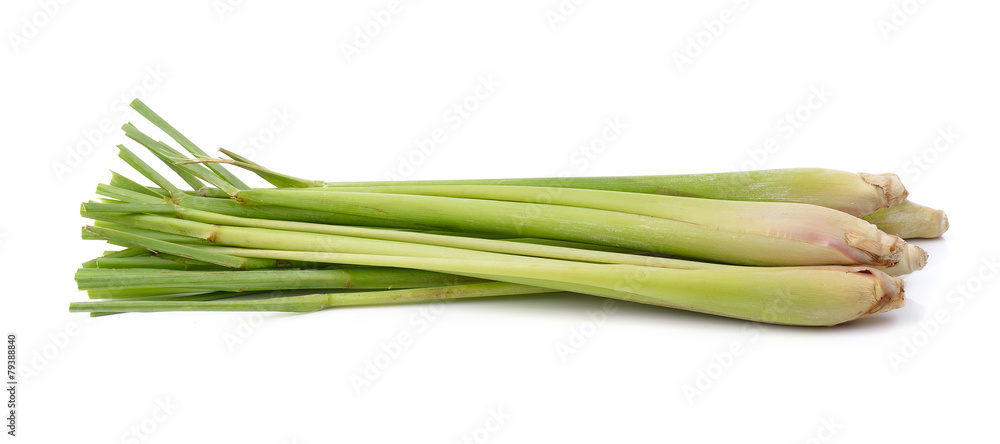 lemon grass on white background lemon grass on white background