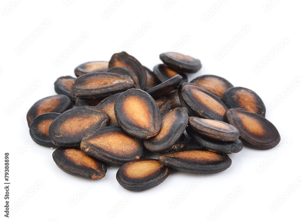 watermelon seeds on white background watermelon seeds on white background