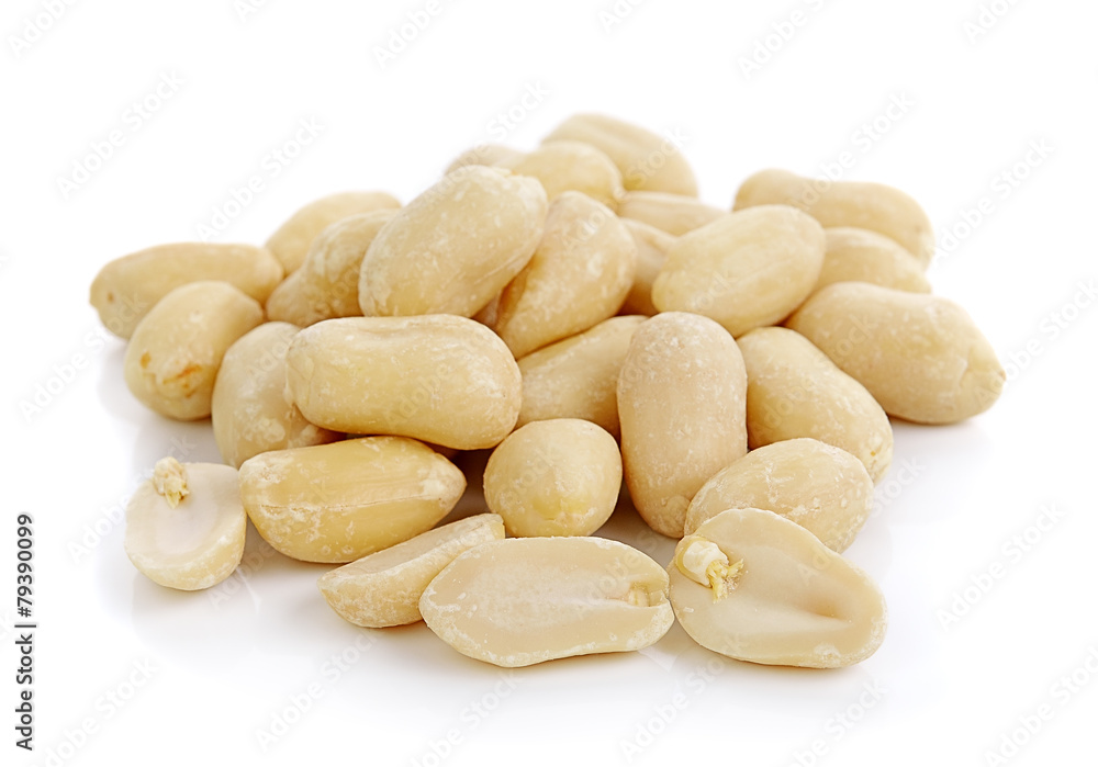 peanut on white background peanut on white background