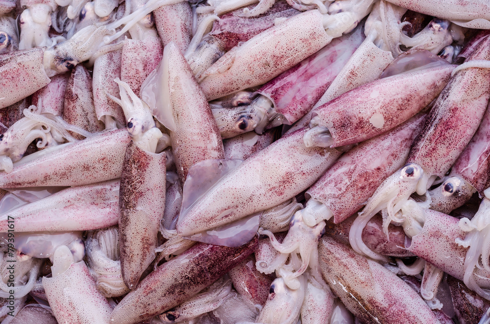 Closeup fresh squid in the market