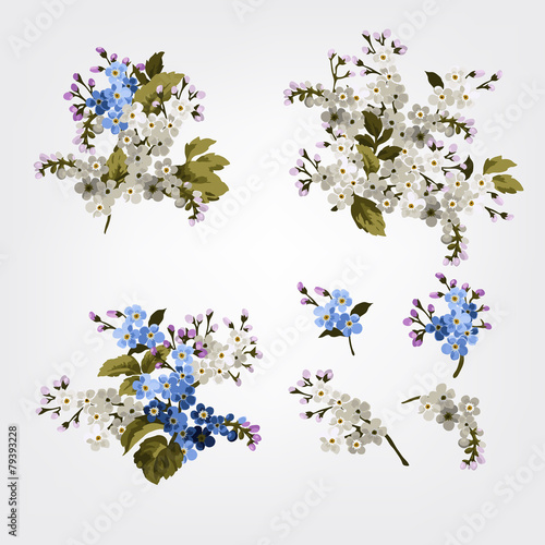 Vector set of bouquets with forget-me-not