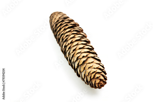Spruce cone on white backgroung. Shallow depth of field