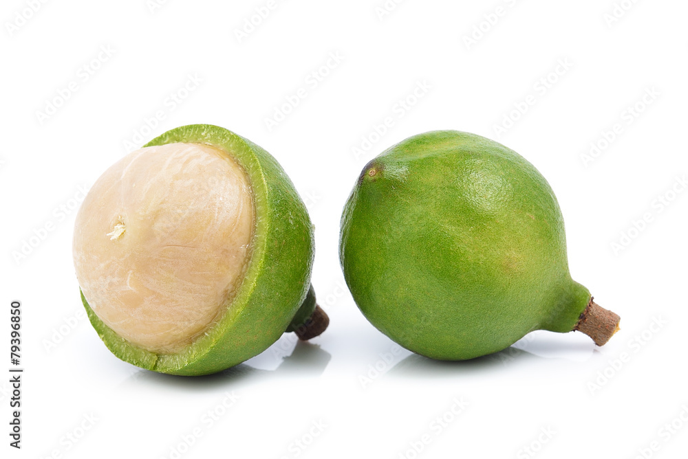 fresh macadamia nut on white background fresh macadamia nut on white background