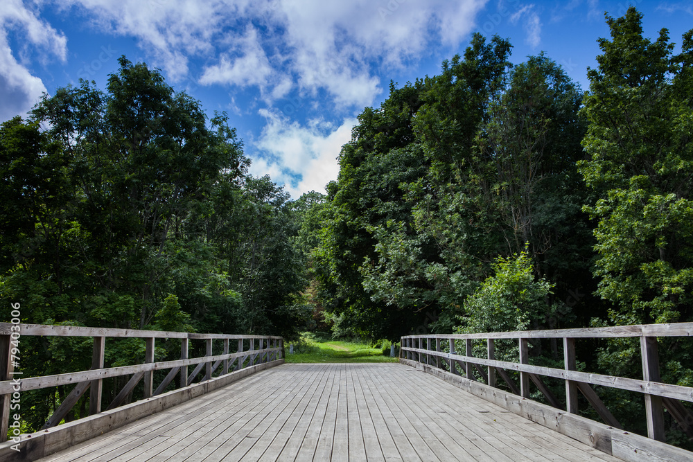bridge with wooden flooring in the forest