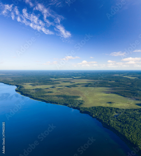 Forest lake, top view