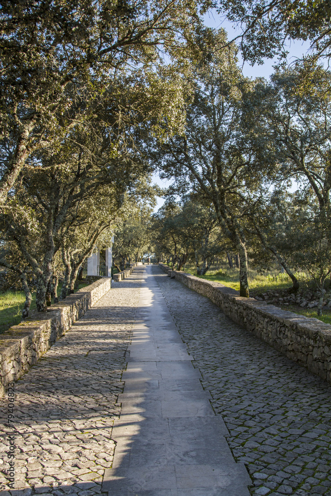 View of rural cobblestone road near Fatima, Portugal.