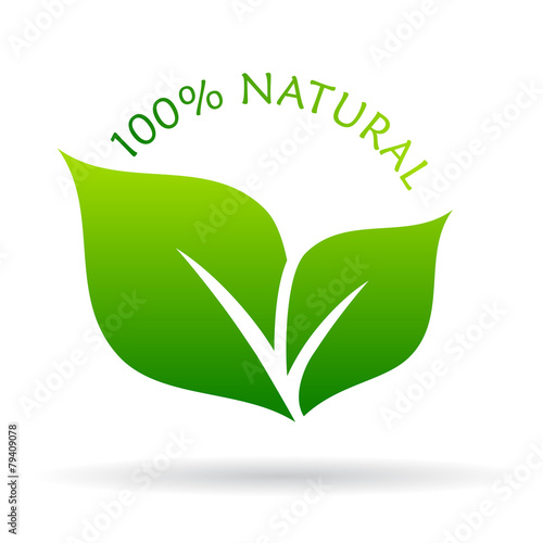 Natural leaves icon