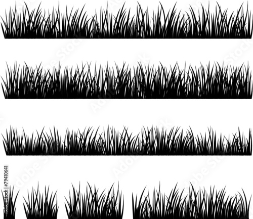 Set of silhouette of grass isolated on white background