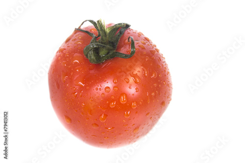 Wallpaper Mural One red juicy tomatoes with dew drops Torontodigital.ca