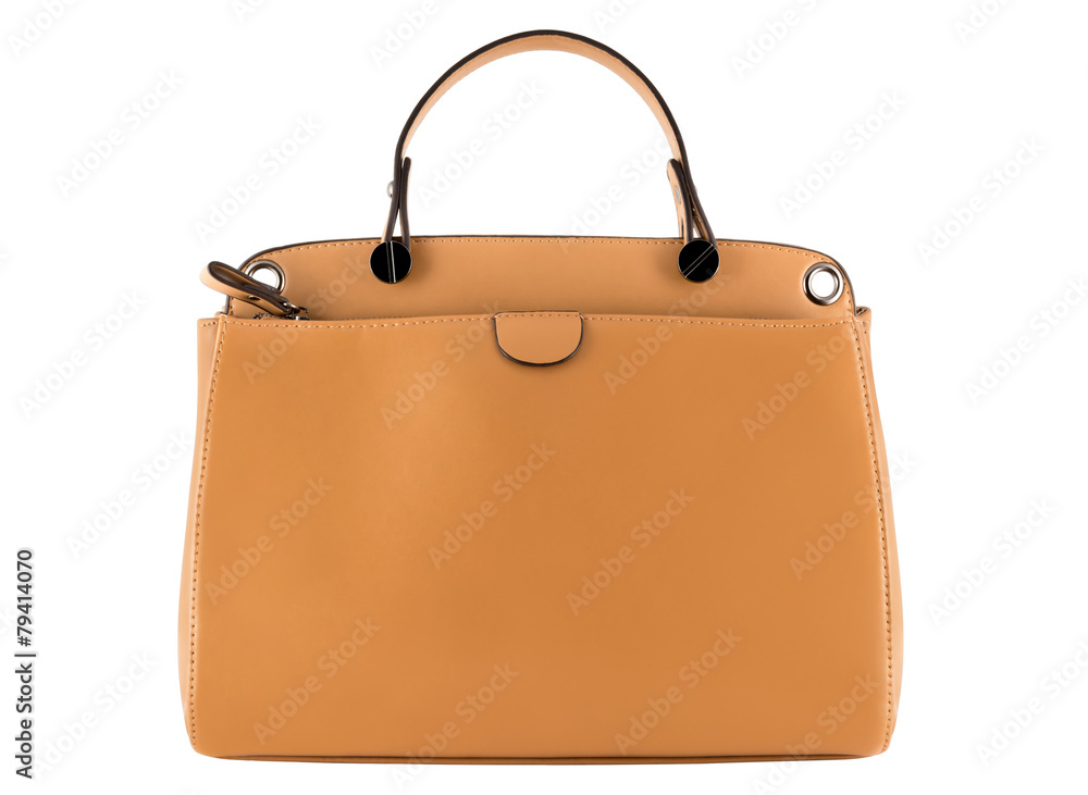 Isolated modern female handbag Isolated modern female handbag