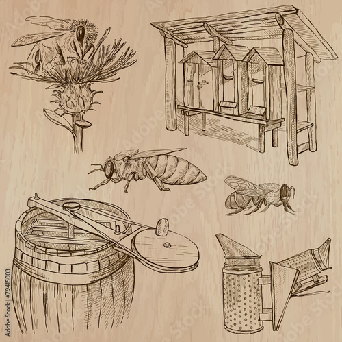 bees, beekeeping and honey - hand drawn vector pack 7