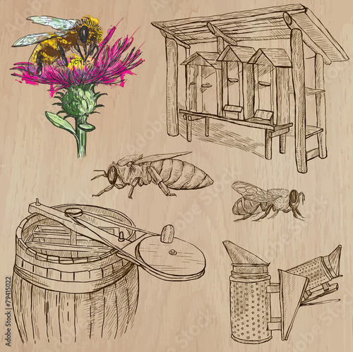 bees, beekeeping and honey - hand drawn vector pack 6
