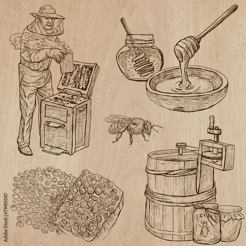 bees, beekeeping and honey - hand drawn vector pack 11