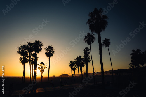 Sunset over palm trees in Santa Monica, California.