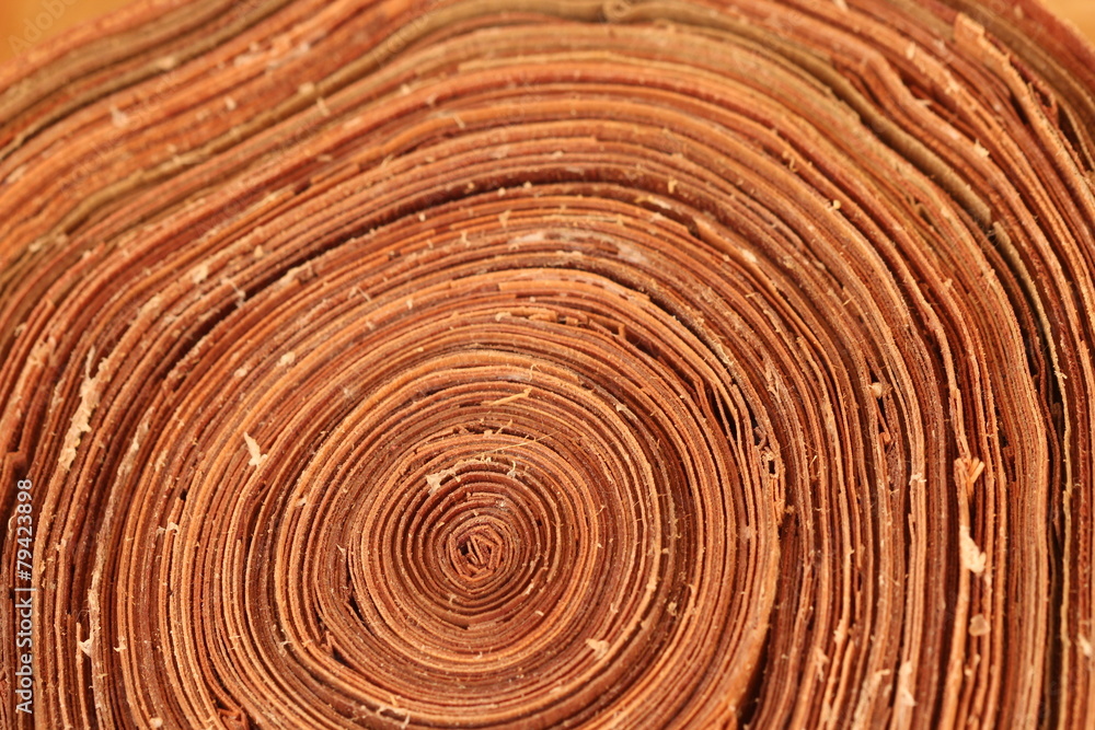 close up wood texture background close up wood texture background