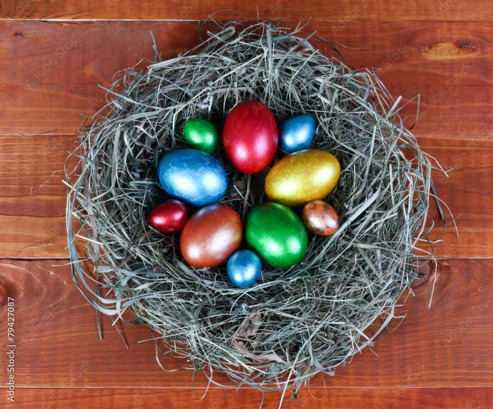Fototapeta premium Easter Eggs in a nest