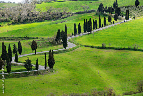 Famous road near Monticchiello, Tuscany, Italy photo